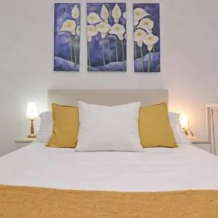 Roig Arena Garden N9 Valencie